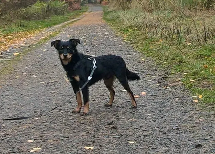 Alan