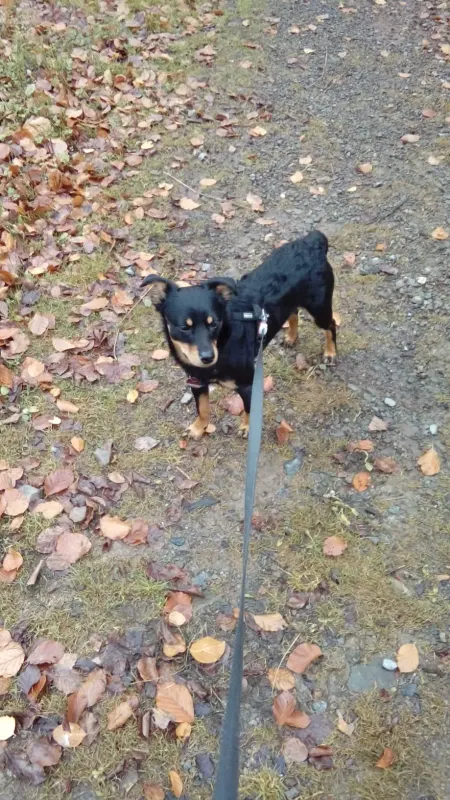 Alan