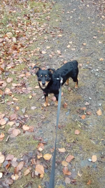 Alan