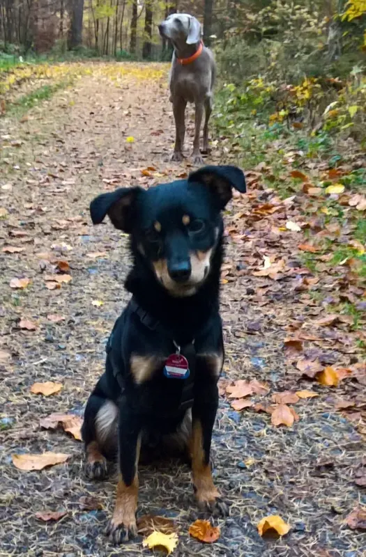 Alan