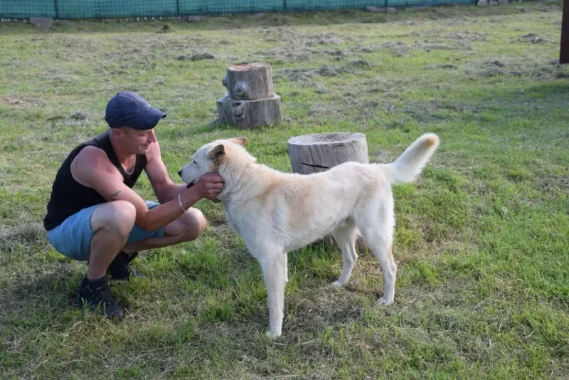 Ares