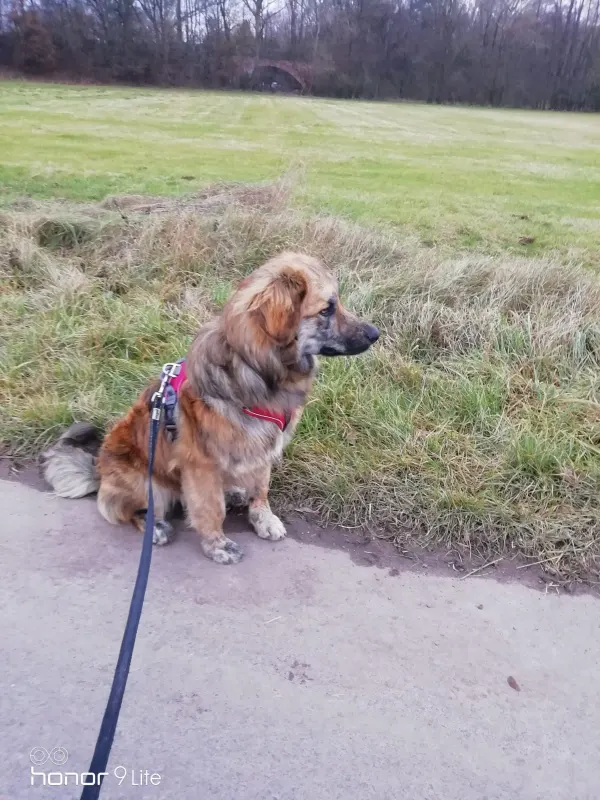 Arlo