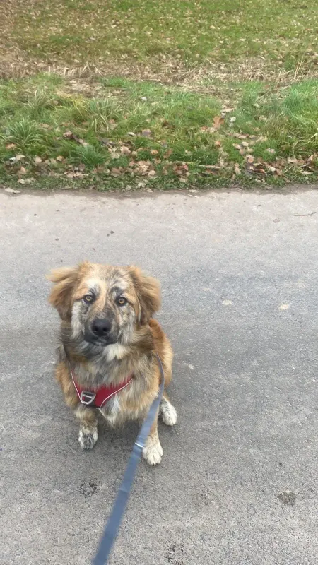 Arlo