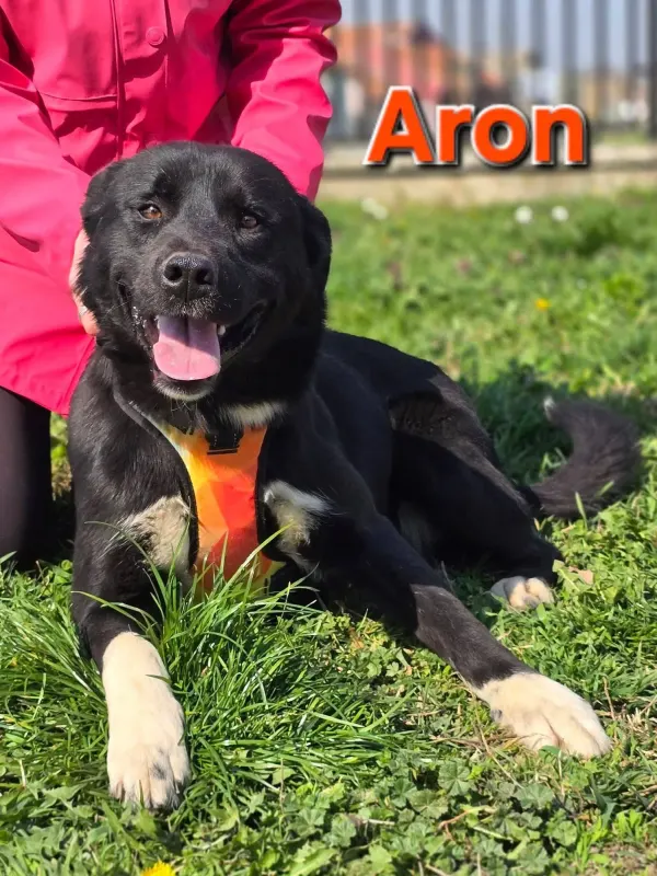 Aron/Ke
