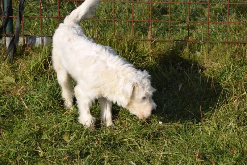 Arthur