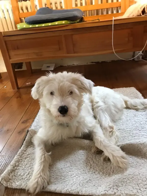 Arthur