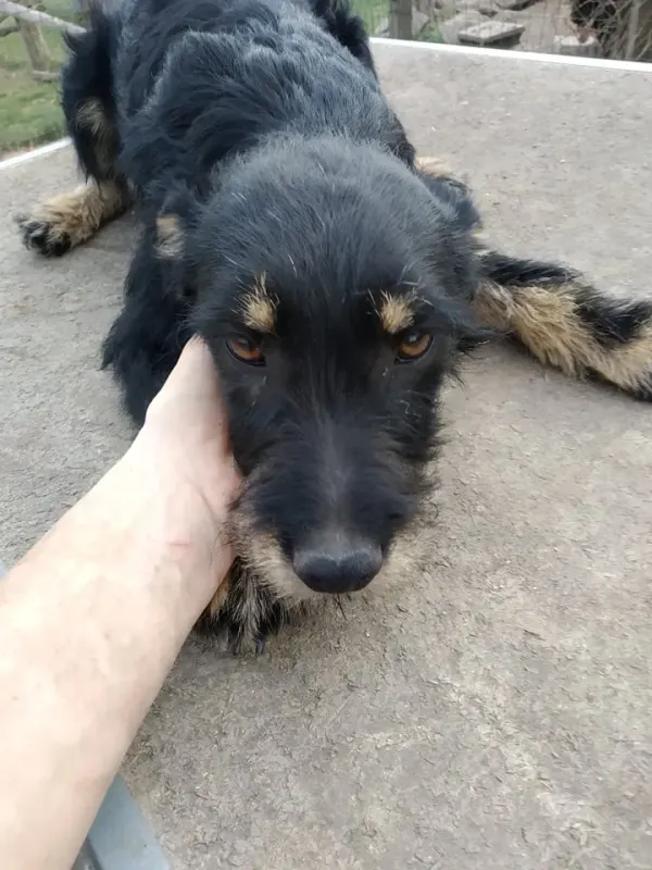 Arthur