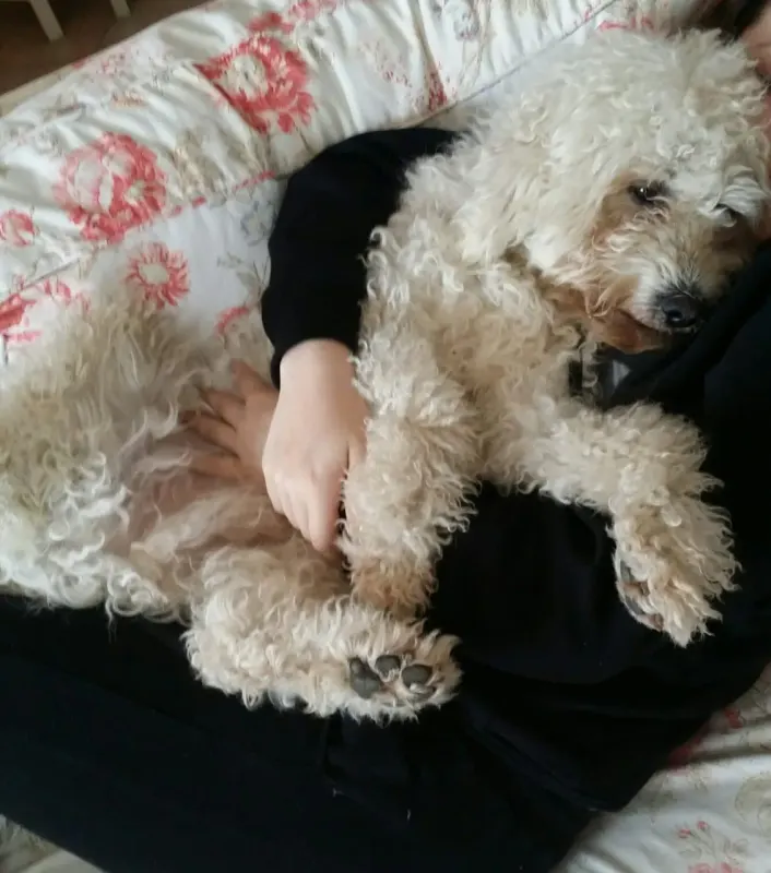 Bailey