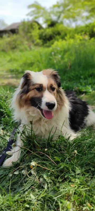 Bella