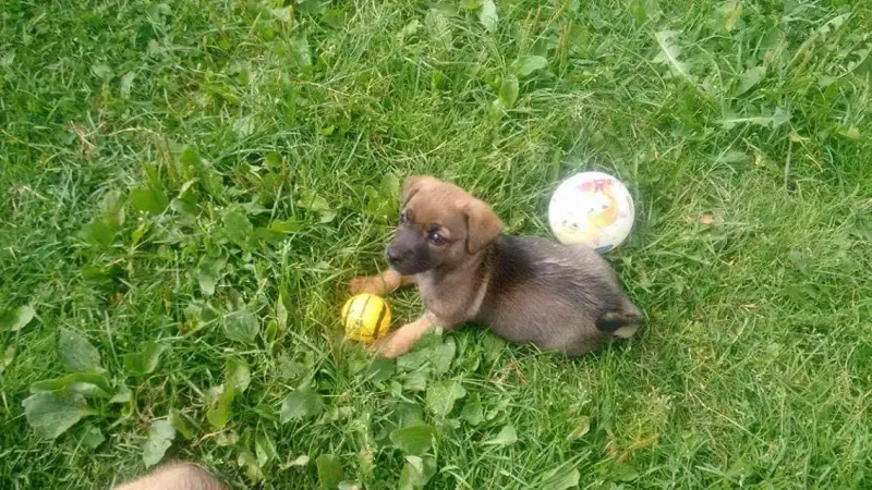 Benny