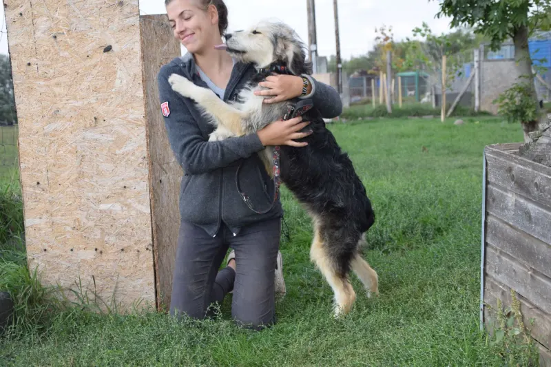Berci