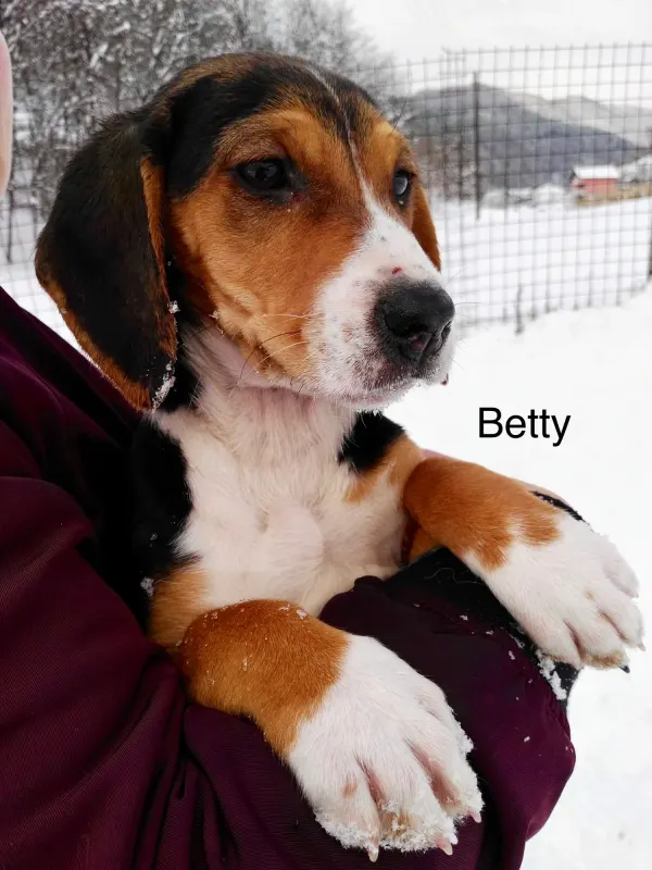Betty