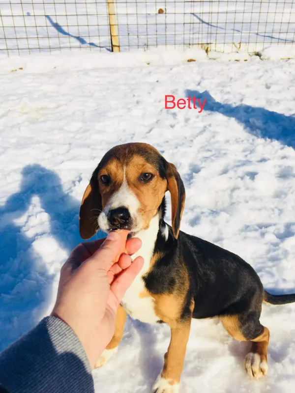 Betty