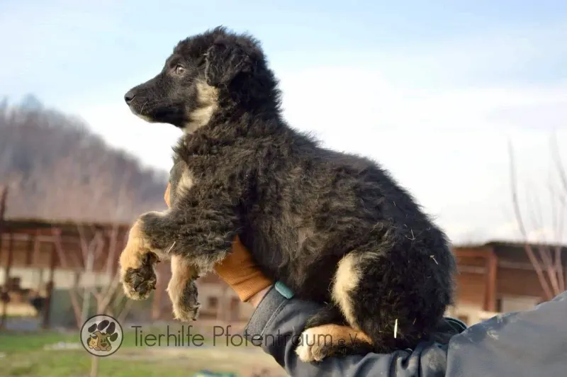 Bijoux