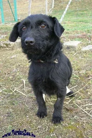 Blacky