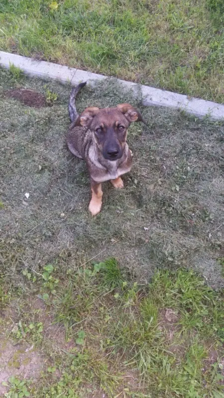 Bonna