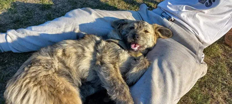 Burrito