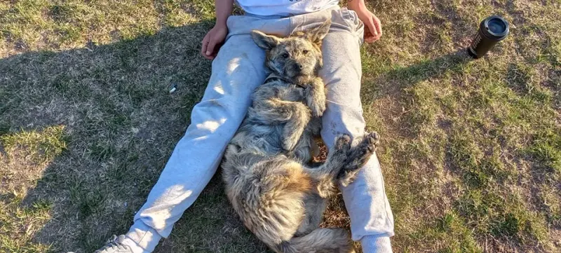 Burrito