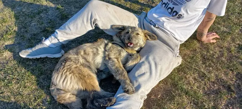 Burrito