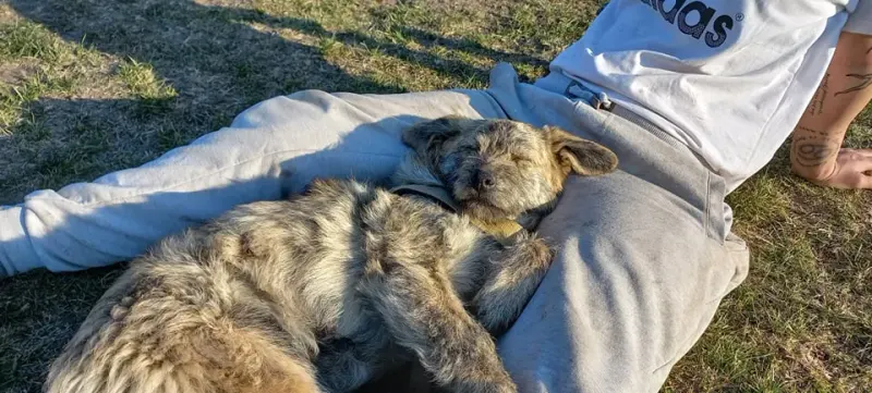 Burrito
