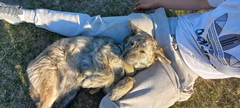 Burrito