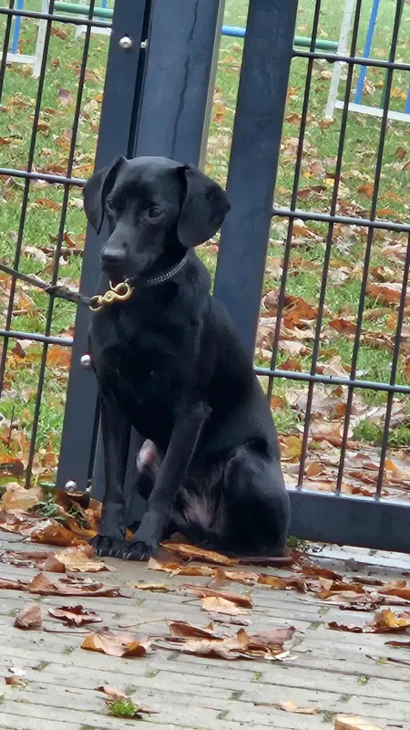 Charles