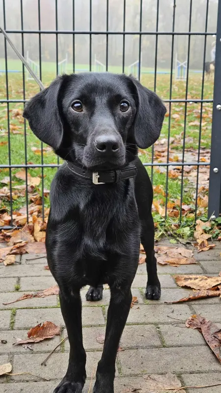 Charles