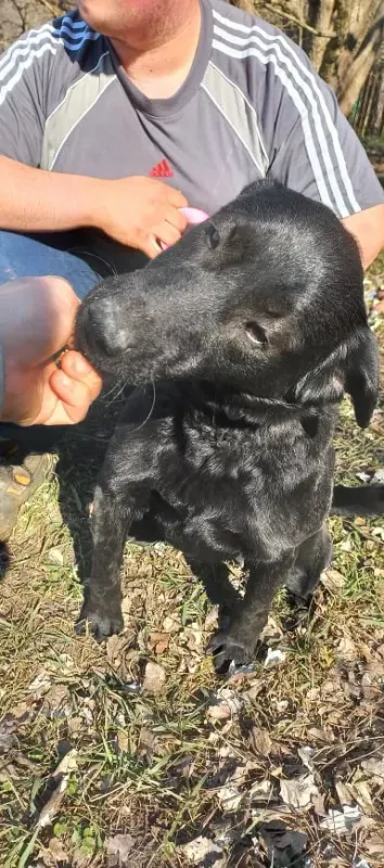 Chloe