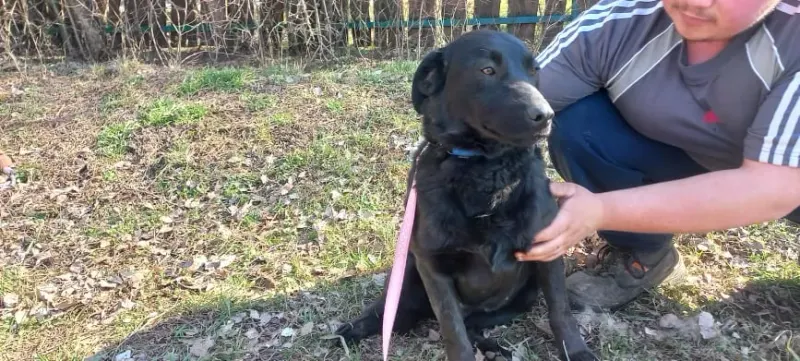 Chloe