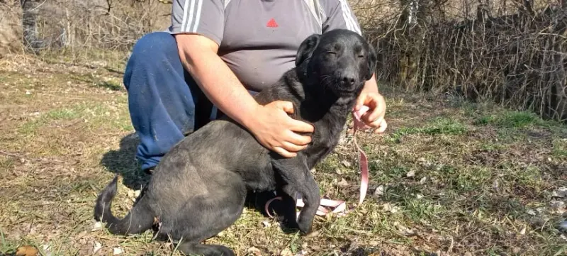 Chloe