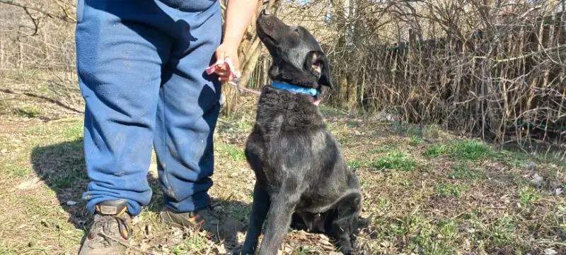 Chloe