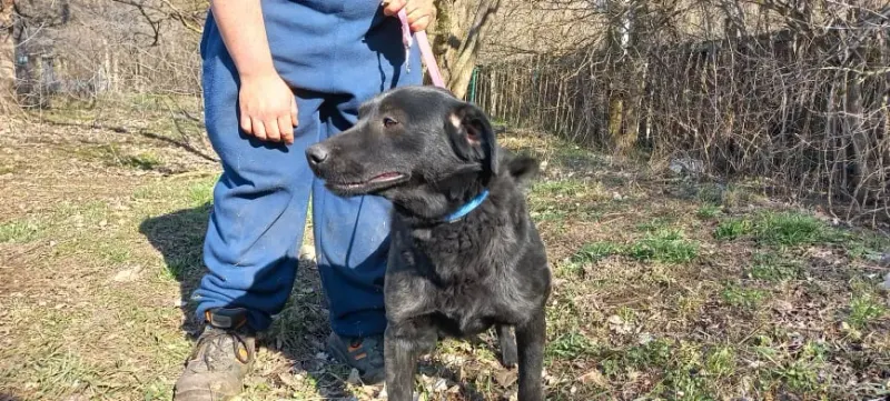 Chloe