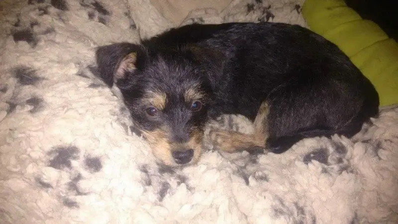 Chloe