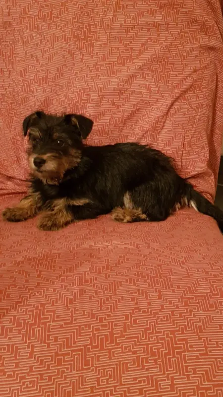 Chloe