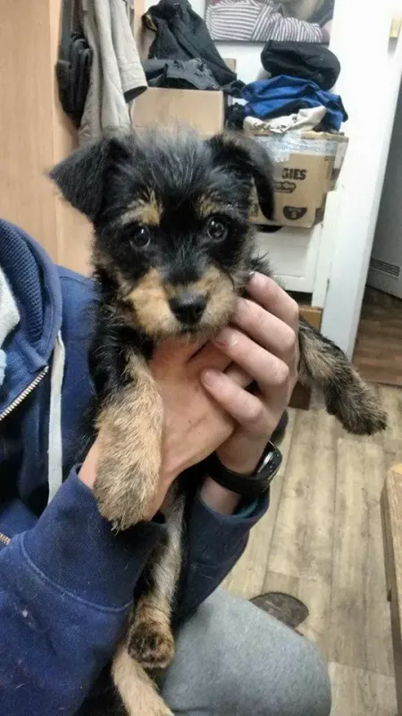 Chloe