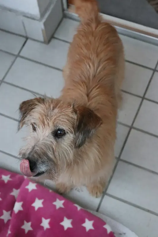 Coco