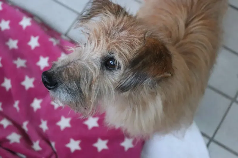 Coco