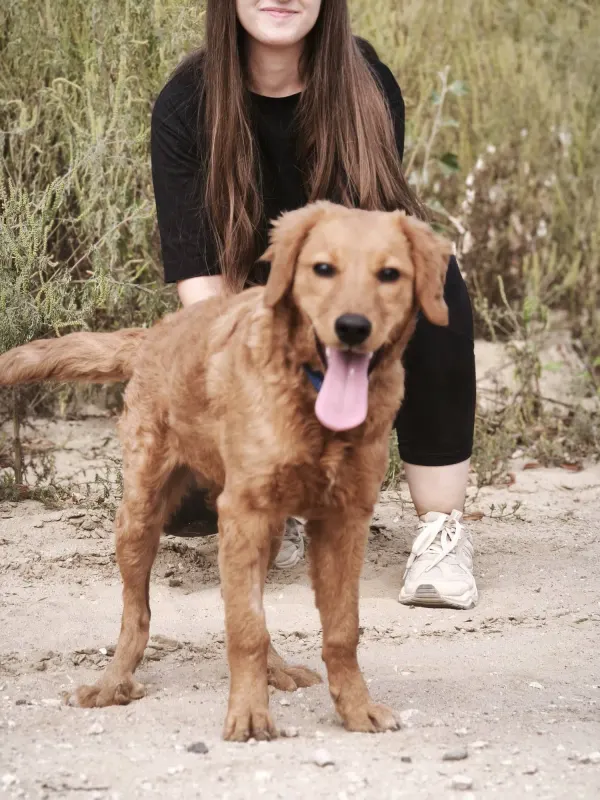 Darla