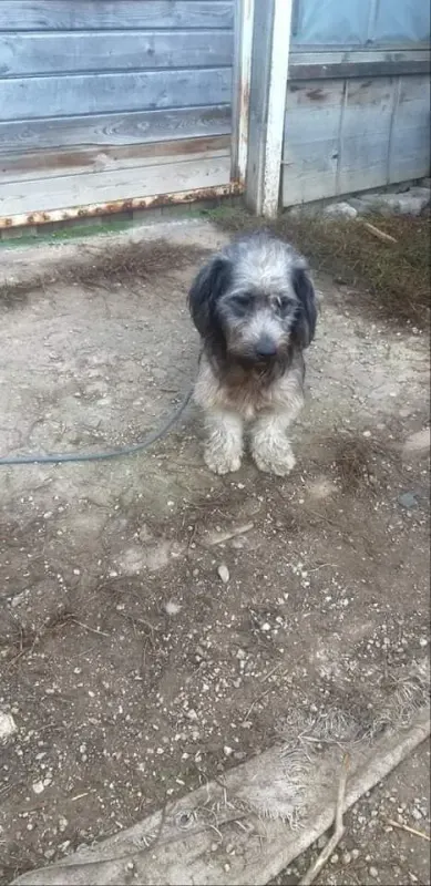 Diego