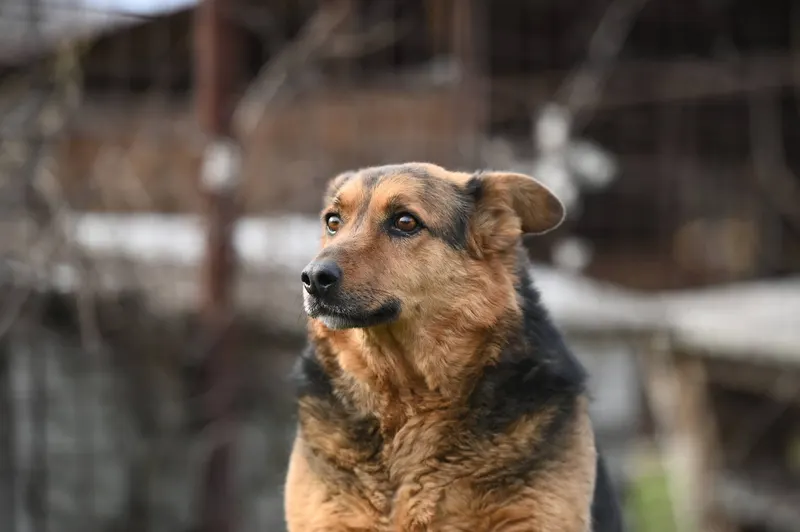Foto von Doris