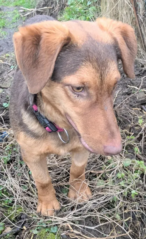 Doris