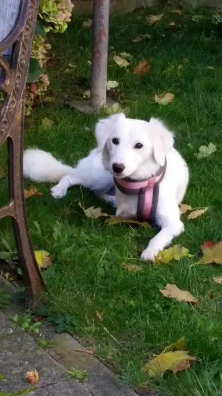 Eby