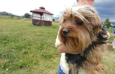 Eddy