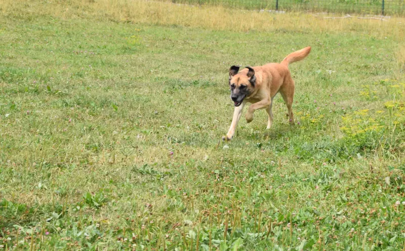 Ella