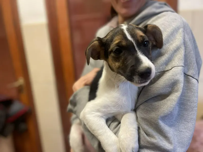 Ellen