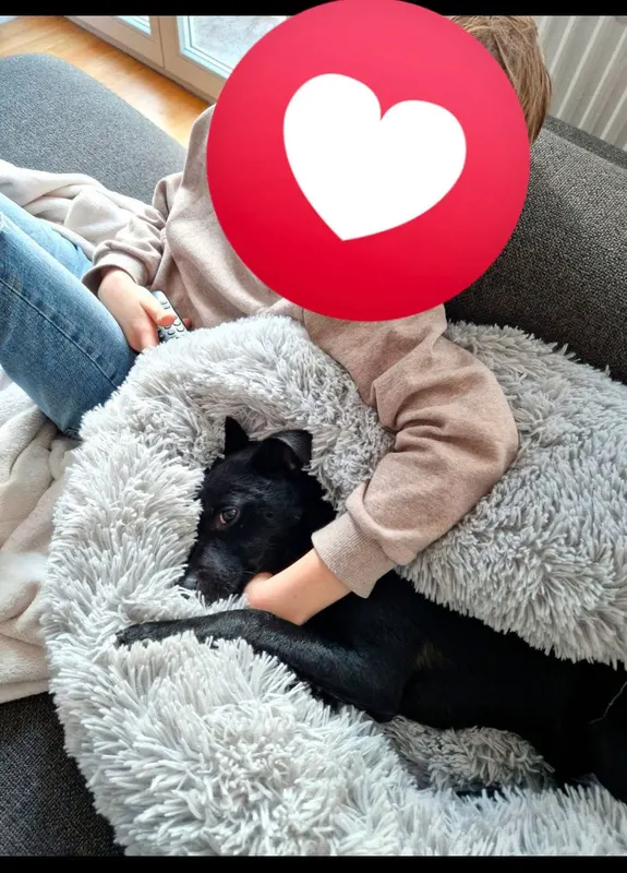 Elli