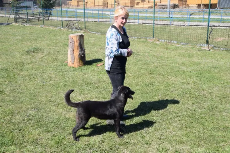 Elsa