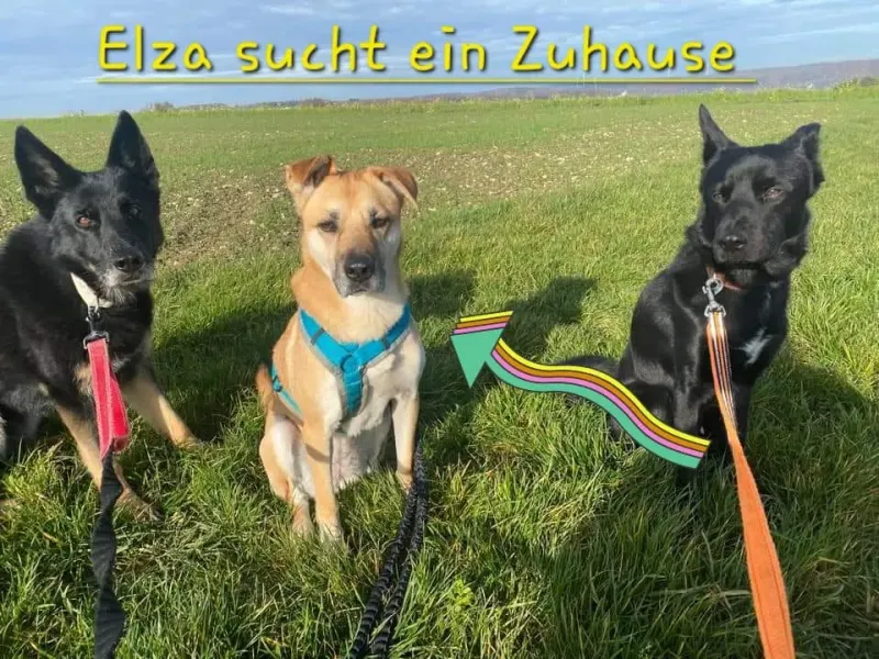 Elza