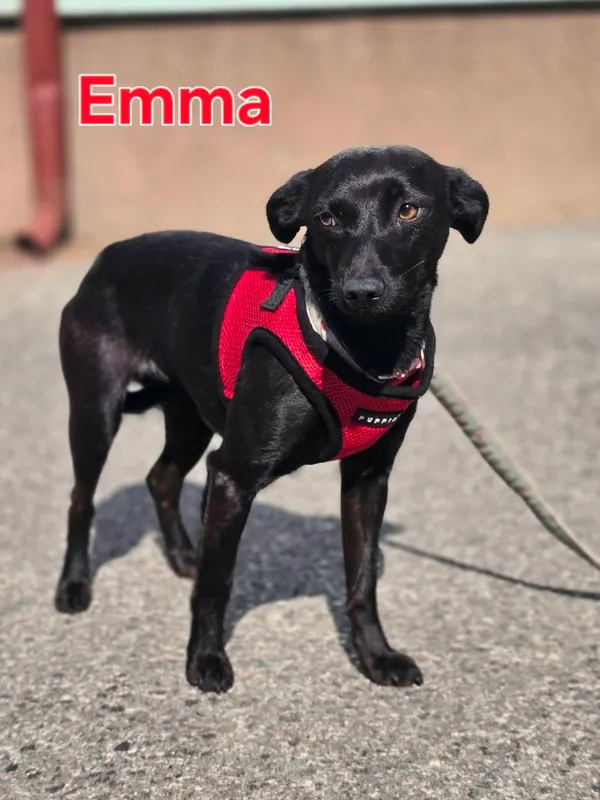 Emma