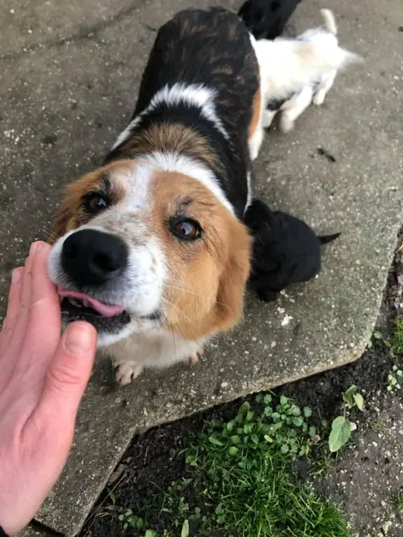 Esther